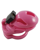 Locked In Lust The Vice Mini V1 Polycarbonate Lockable Cock Cage