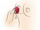 Bloomgasm Wild Rose Silicone Rechargeable Air-Pulsation Clit Stimulator - Red