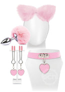 Try Curious Kitty Kit