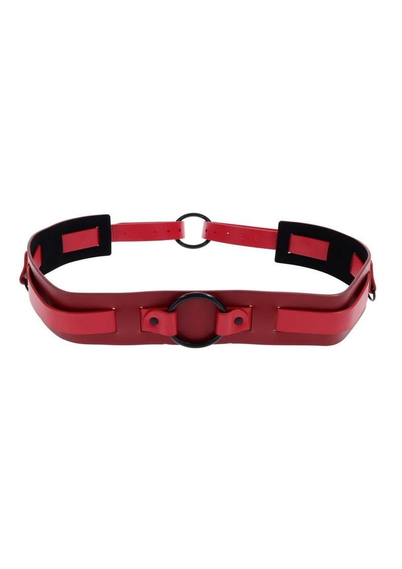 Sex & Mischief Ex's & Oh's Bound and Belted
