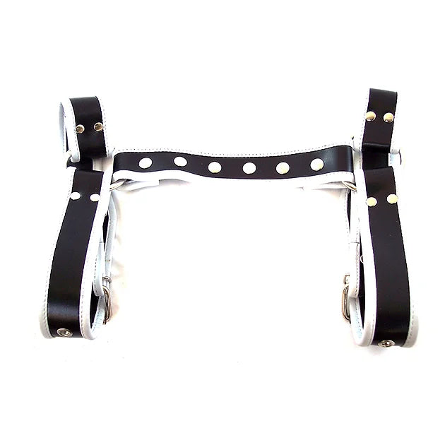 Leather Halter Harness