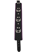 Rouge Padded Leather Adjustable Collar with 3 D-Ring Attachment Points