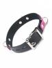 Joanna Angel Locking Buckle Collar - Pink