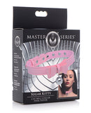 Master Series Kitty Cat Bell Collars