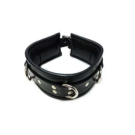 Rouge Padded Leather Adjustable Collar with 3 D-Ring Attachment Points
