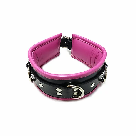 Rouge Padded Leather Adjustable Collar with 3 D-Ring Attachment Points