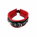 Rouge Padded Leather Adjustable Collar with 3 D-Ring Attachment Points